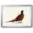 " Pheasant Splash 4 "-1844323871-1844323866