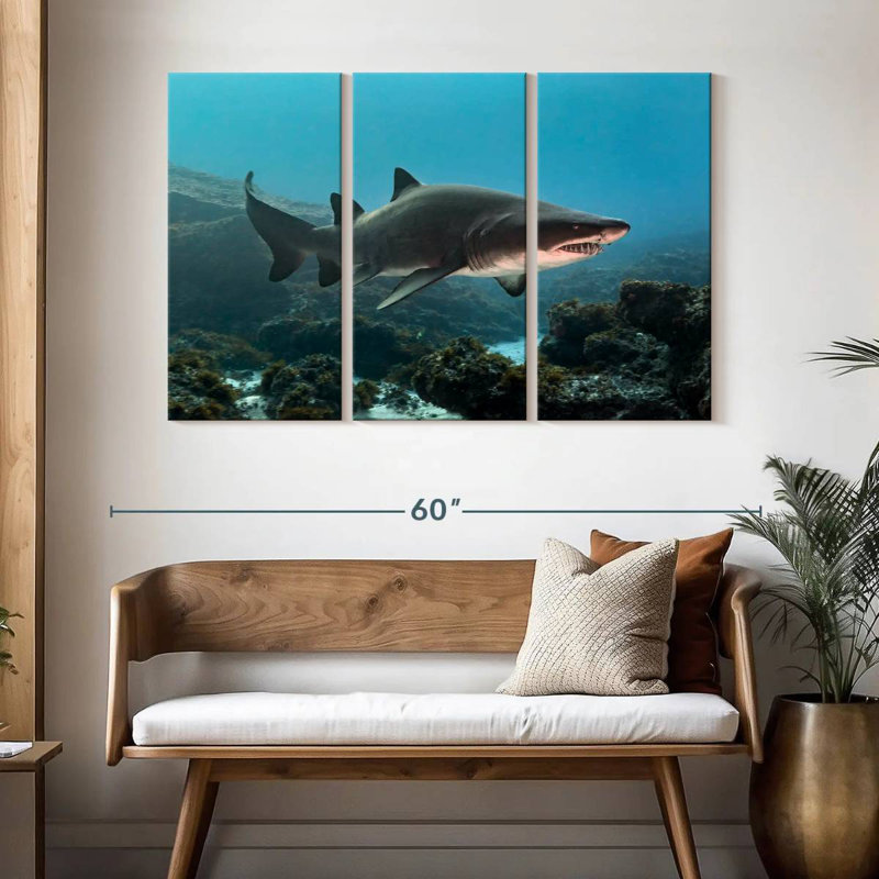 Aliwal Shoal Shark, 32" H x 50" W