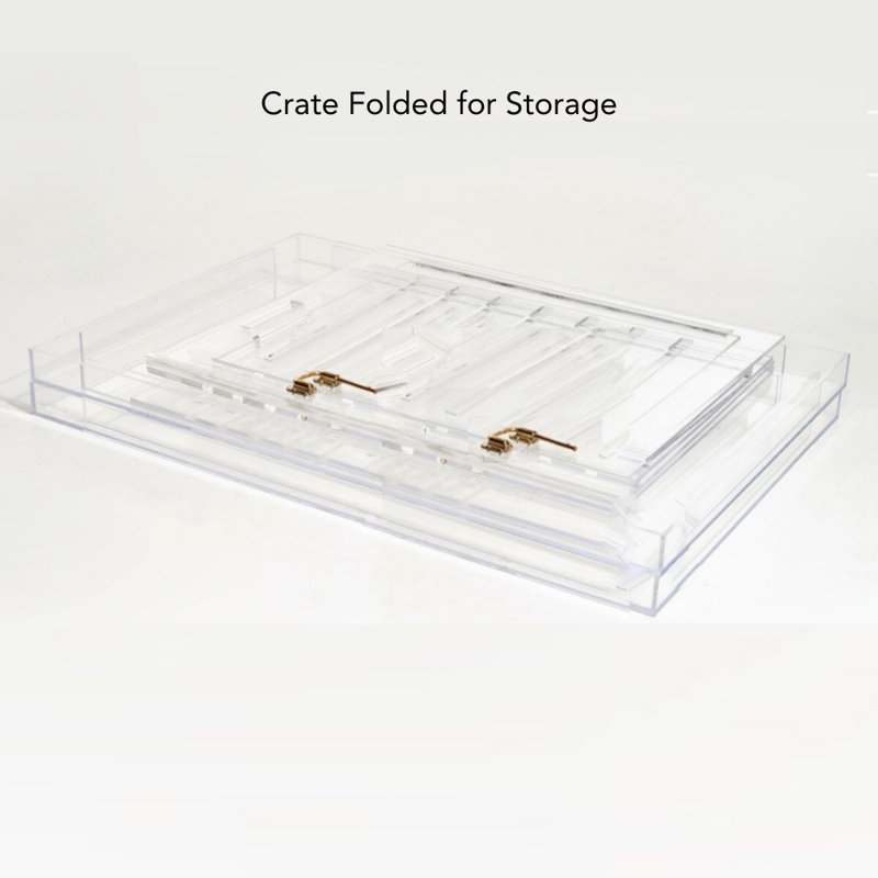 Medium Clear View Pet Crate with Silver Latch, Khaki Cushion, Blush