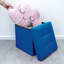 Chakera 30cm Wide Square Solid Colour Ottoman with Storage-744287257