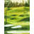 Big Golf Course Print On Canvas