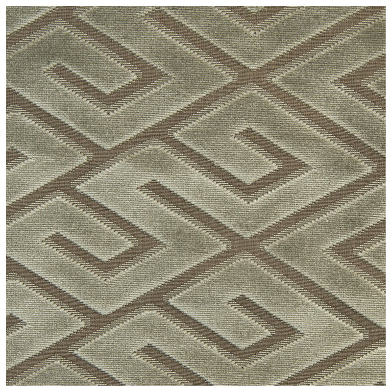 Tissu d'invité, Colombe