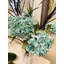 Ensemble de 6 branches à fleurs artificielles-945239691