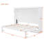 Grand lit escamotable mural-1017558225-1017558224