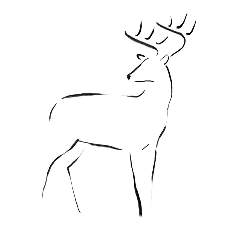 Line Drawing Deer - Wrapped Canvas Print, 30cm H x 30cm W x 3.8cm D