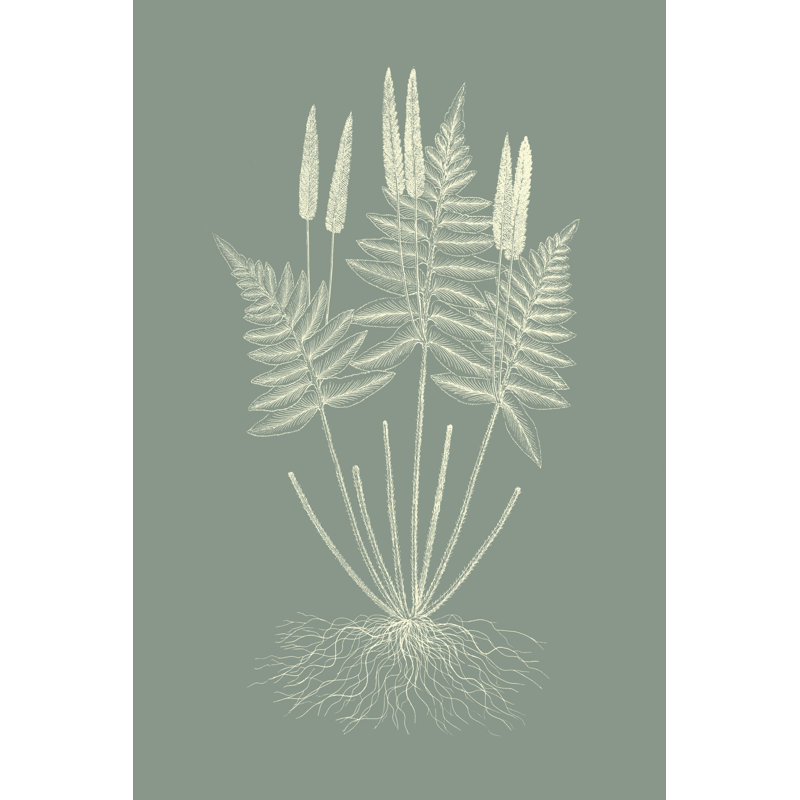 «Ferns on Sage VII», peinture sur toile, H 12 po x l 8 po