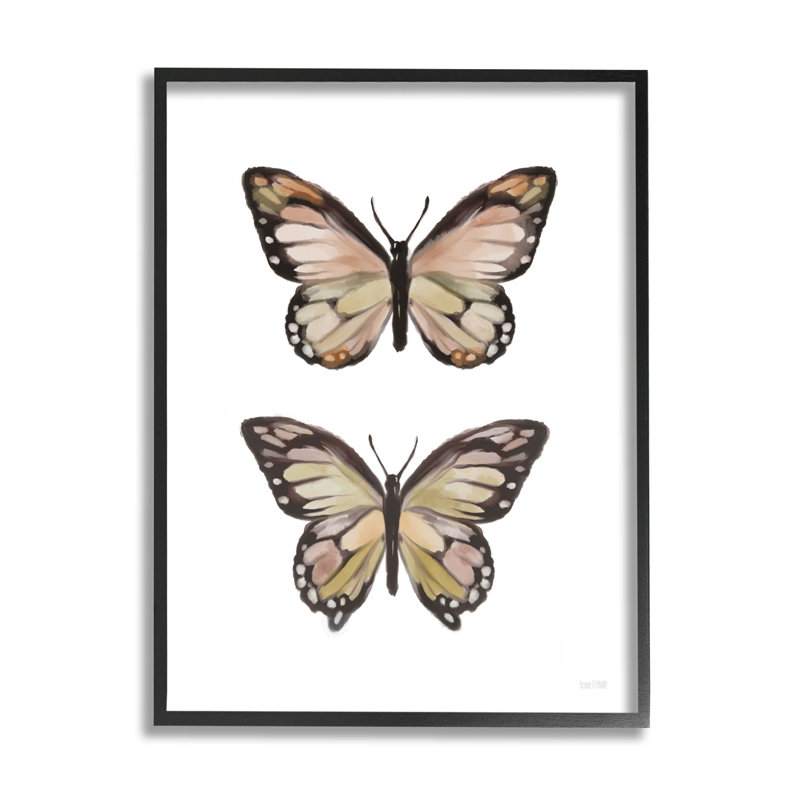 Ailes de papillon, insecte, art giclée par House Fenway, H 14 po x l 11 po x P 1,5 po, Giclée encadrée noir minuit