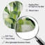 Abstrait, plantes vertes, minimalisme, collage rétro - forme de flèche de plantes - art mural métallique asymétrique-2071252016