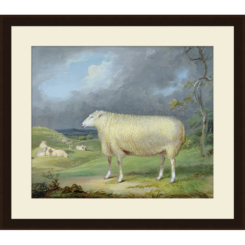 «A Proper Sheep», reproduction d'impression encadrée