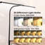 Dalmann Metal Desk Lamp