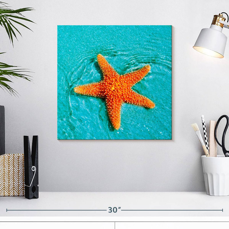 Brampt Submerged Starfish, 16" H x 16" W