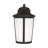 Portola Medium Lantern from Generation Lighting -116119600-116119599