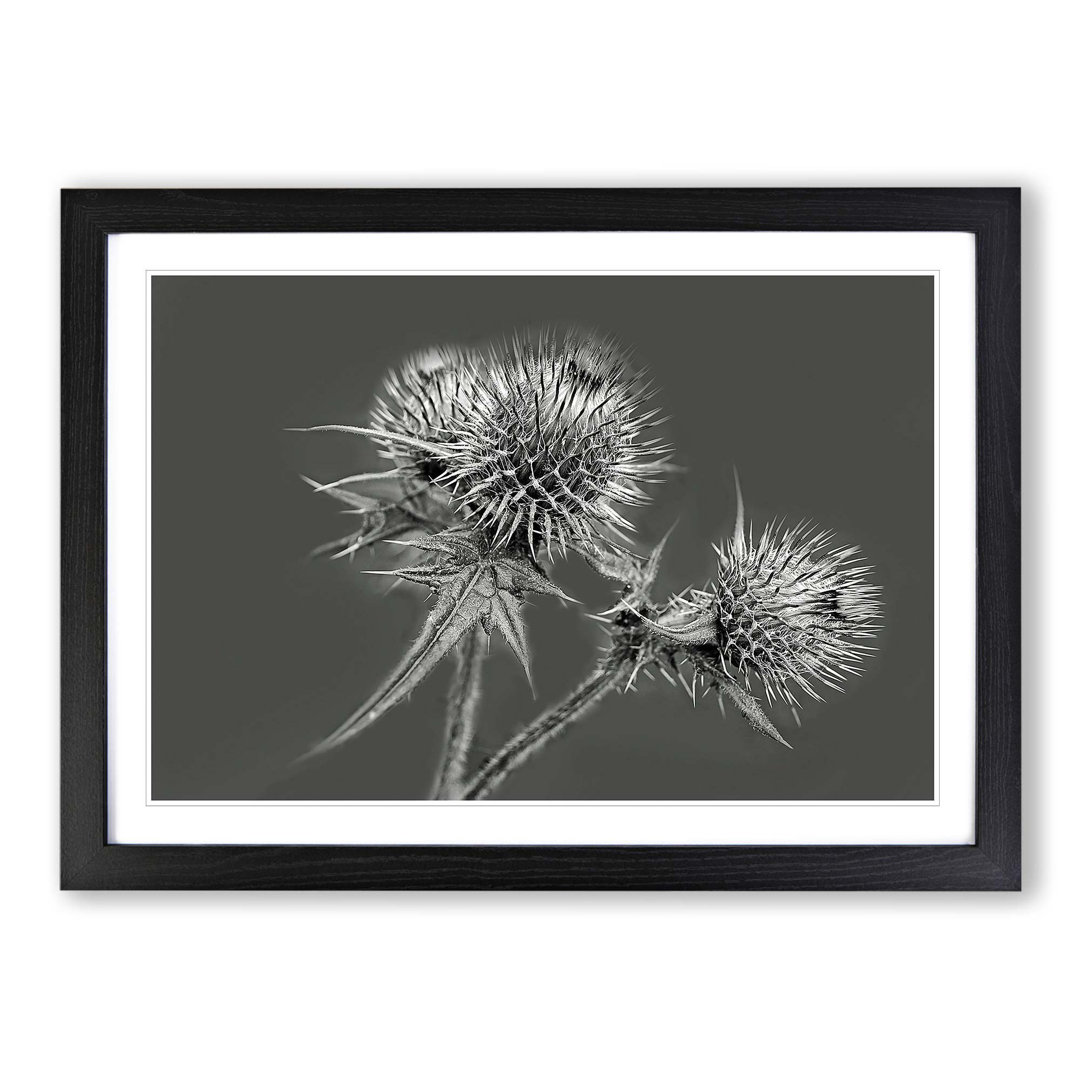 Single Picture Frame Print
