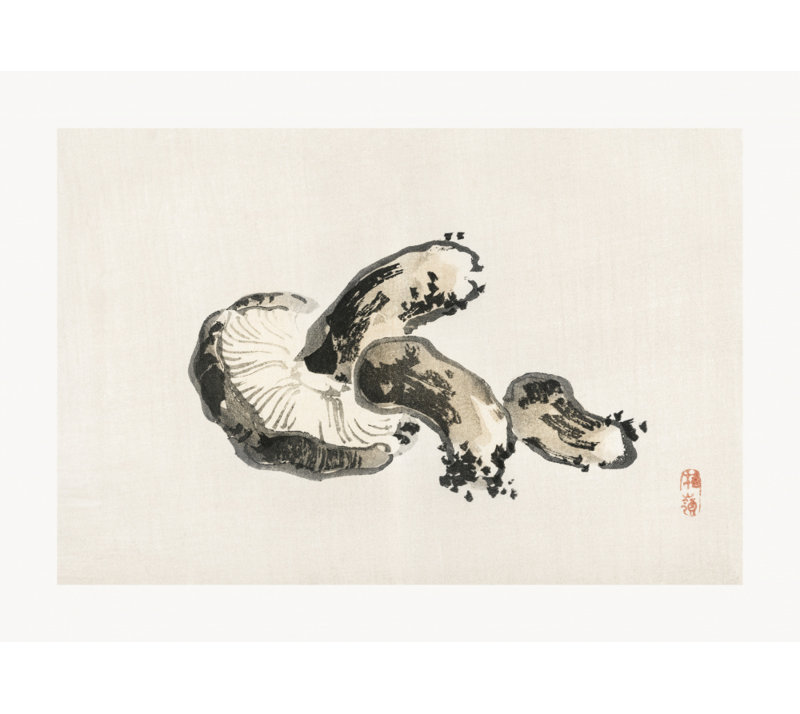 Wrapped Canvas Print, 50.8 cm H x 76.2 cm W