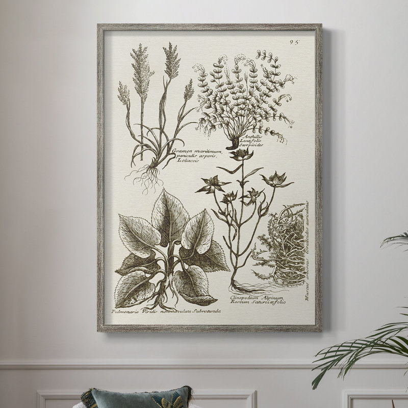 «Sepia Botanical Journal VII», reproduction encadrée - bois massif, H 21 po x l 17 po