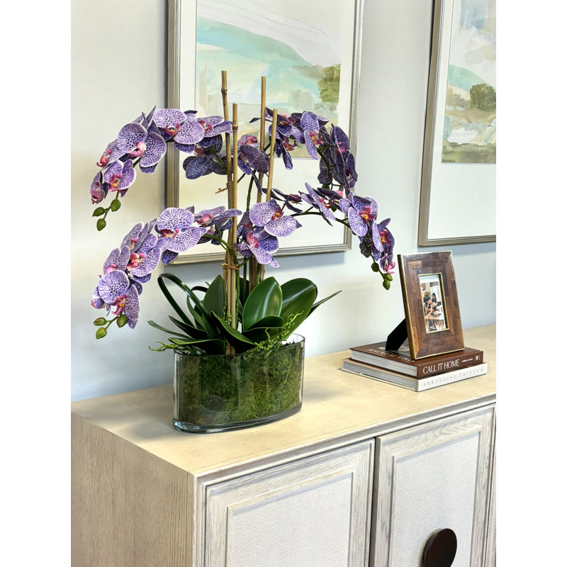 Polysilk Orchid Arrangement in Vase