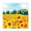 Tournesols en Provence sur toile-369173405