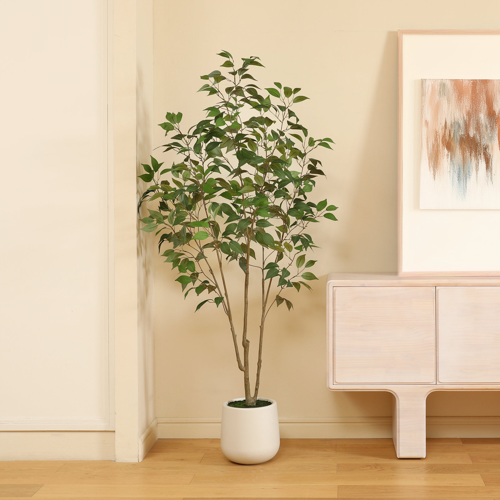 Agostino 84" Ficus Tree in Pot, 72" H x 24" W x 24" D