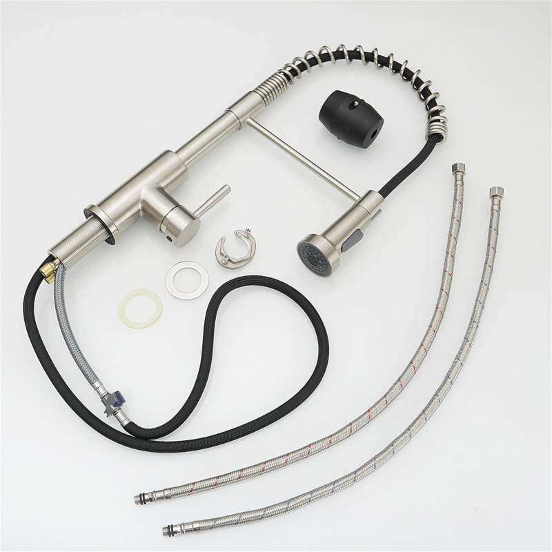 Stainless Steel Pull-Out Spray Kitchen Faucet with Spring Design