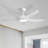 Lakenzie 48'' 5-Blade Modern Ceiling Fan with LED Light and Remote Control-1522235716