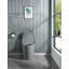 Soft-close Toilet Seat Only-115020716