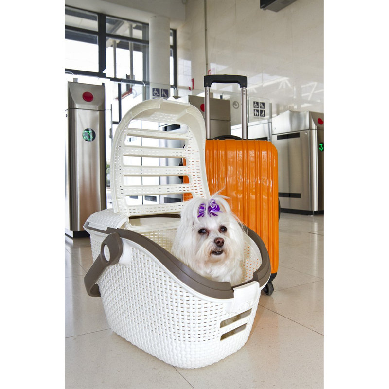 Mackey Pet Carrier