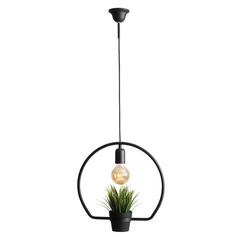 Timmothy 1 - Light Unique/Statement Pendant