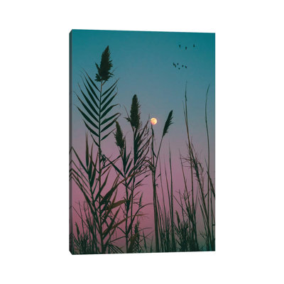 Dream Within a Dream 1 Piece Wrapped Canvas Wall Art