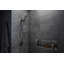 Statement Ves Single-Function Handshower Kit 1.5 Gpm-49212595