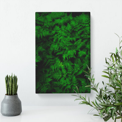 Fern Leaves Vol.3 Painting - Wrapped Canvas