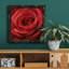 Vibrant Valley - Peinture sur toile encadrée-1270807376-1270806495