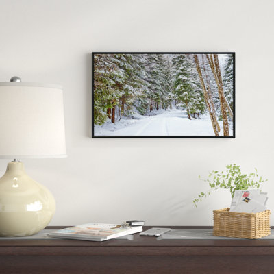 " Snowy Road In The Forest "
