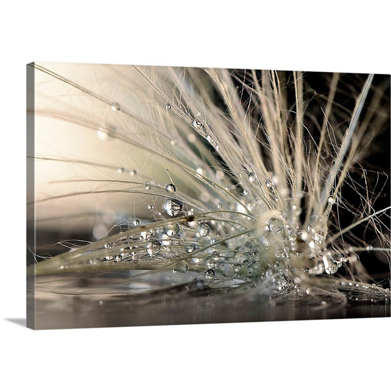 Straub " Pearls " by Maryam Zahirimehr, Wrapped Canvas, No Frame, 16" H x 24" W