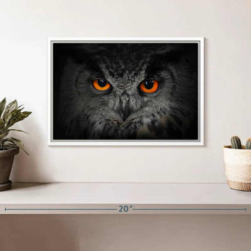 Hibou gris envoûtant, Cadre flottant blanc, 13 po x 9 po