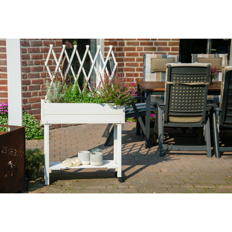 Elevated Planter with Trellis, White