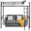 Jernigan Kids Twin Loft Bed