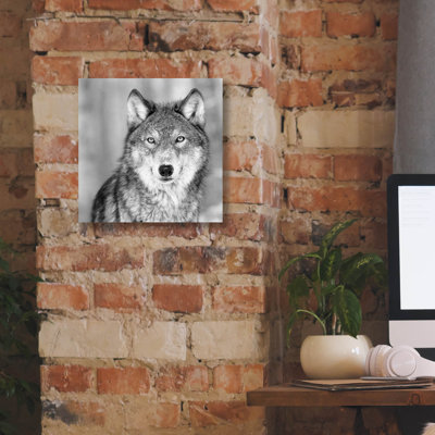 «Wolf» par PhotoINC Studio