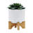5" Chevron Planter W/ Stand