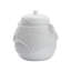 Anolis Canister - White