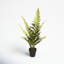 Faux Fern Plant in Pot-1069991427