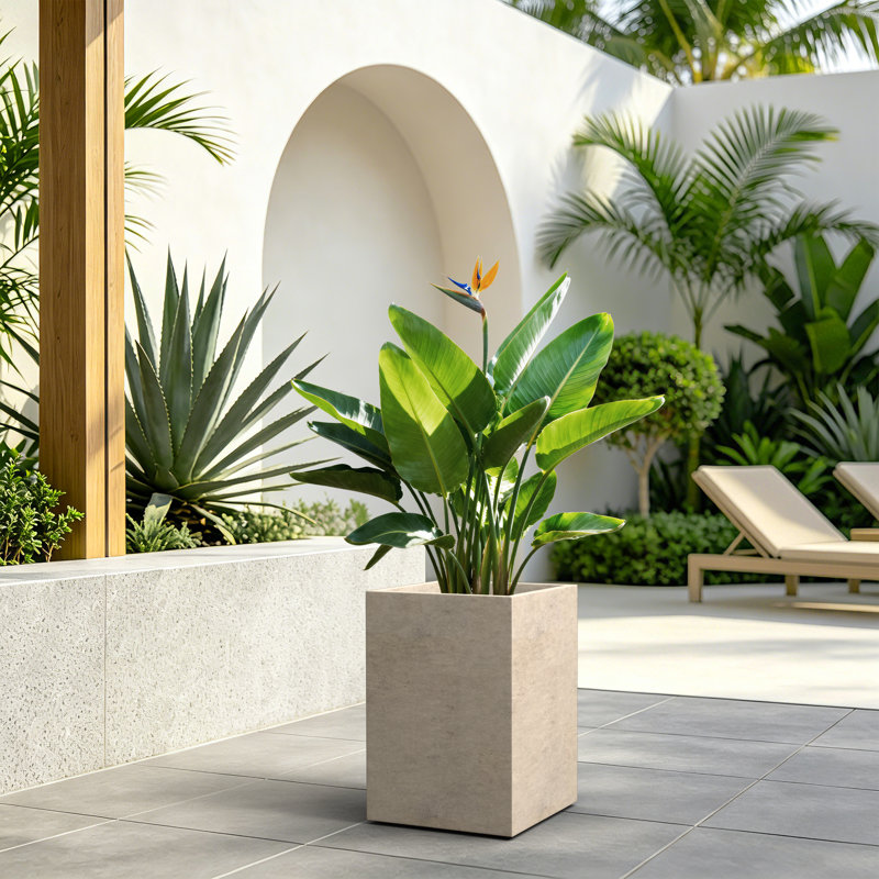 Jardinière rectangulaire en béton de 12,5 po de hauteur, idéale pour les plantes grasses et les plantes d'intérieur, gris chaud