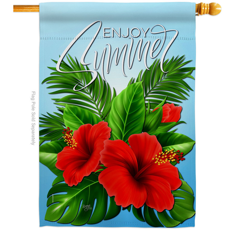Double Sided 40'' H x 28'' W Polyester House Flag