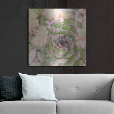 " Succulents 08 " by Lightbox Journal