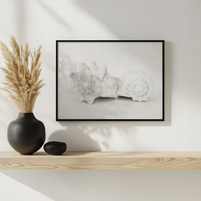 Vintage Conch Shells II by Jennifer Rigsby Art Print