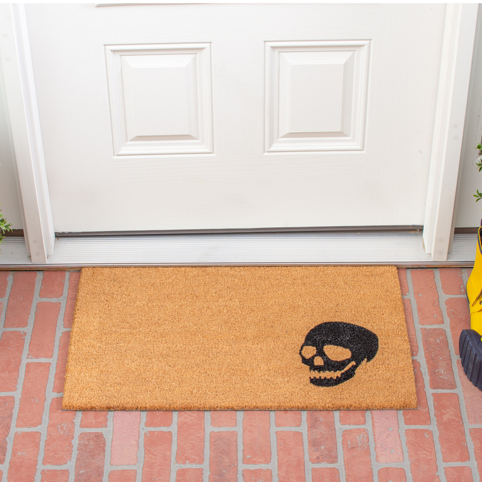Non-Slip Halloween Outdoor Doormat, 30" W x 48" L
