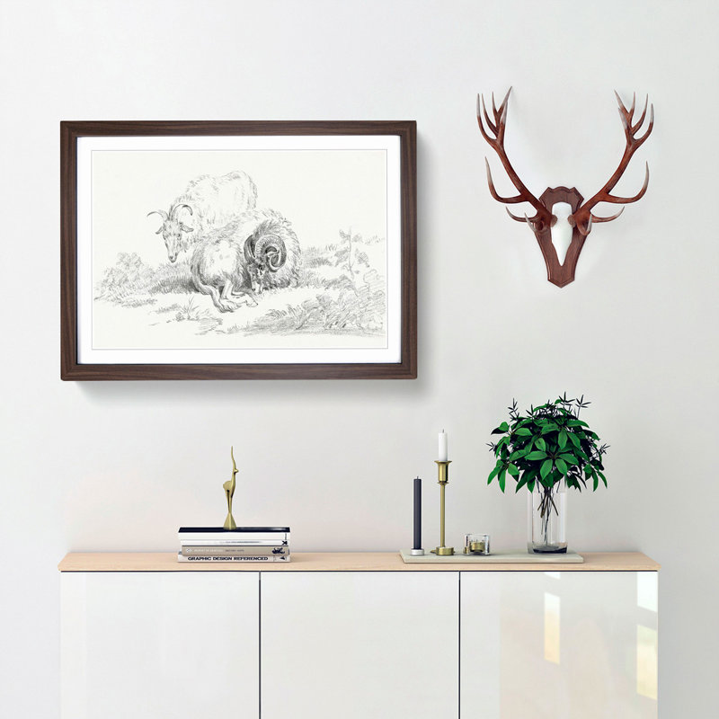 Sketch of Two Goats by Jean Bernard - Picture Frame Drawing Print, 36cm H x 48cm W x 2cm D, Walnut Framed