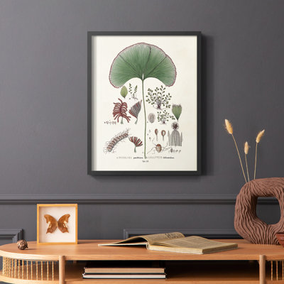 «Botanical Society Ferns III», reproduction encadrée - bois massif