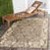 Davonia Performance Abstract Rug