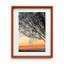 Sunset Tree Print by Joseph Regan-66910859-66910863