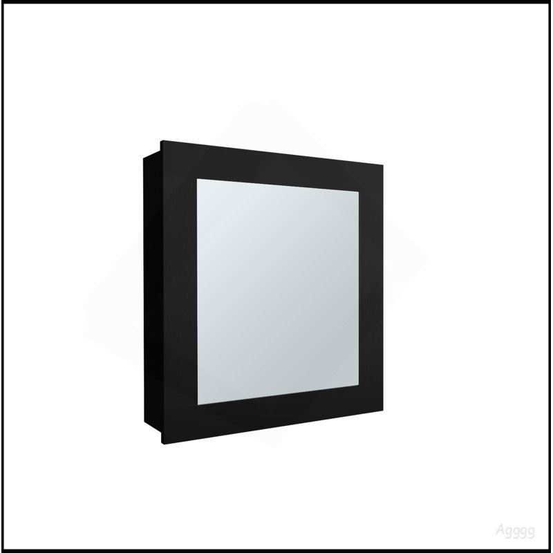 Medicine Cabinet 20.5" H, With 2 Shelves, 1 Door, And 1 Mirror, Black, Black